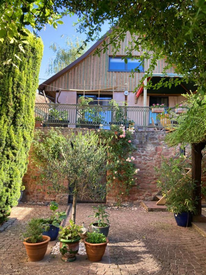 Le Grenier - Piscine Et Spa Marlenheim Bagian luar foto